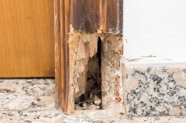 Rotting Door Repair Service