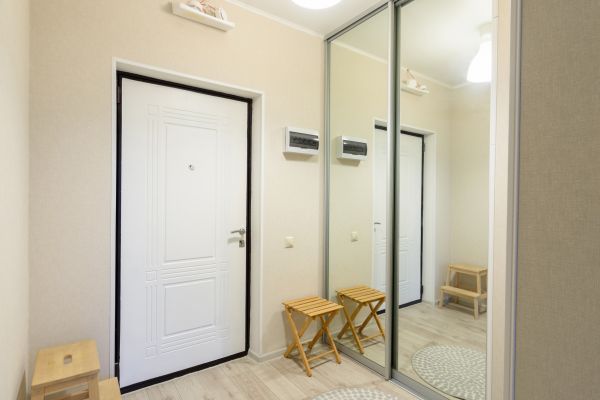 Mirror Door Repair