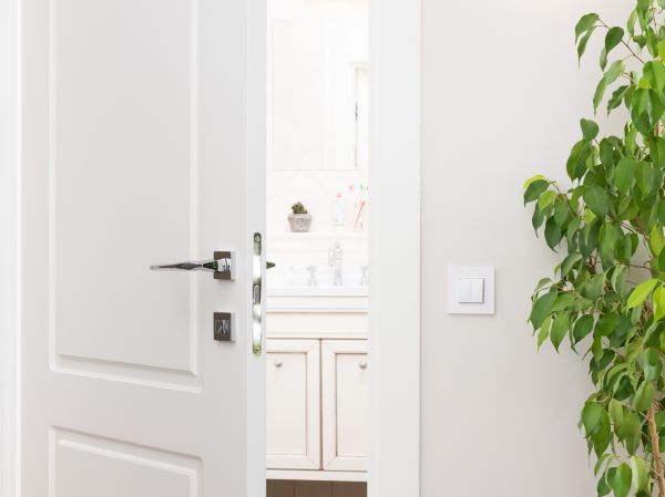 Bathroom Door Replacement Service